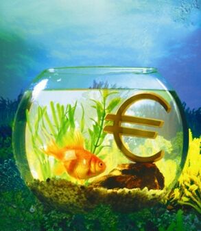 аквариум с золотыми рыбками для привлечения денег